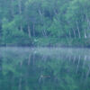 木戸池の夏の風景 ギャラリー 朝霧に包まれる森林と池の景色