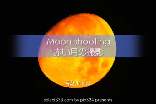 赤い月・オレンジの月・黄色い月いつ見える？色濃い月の撮影方法！刻々と変化する月の色：writing and Photo by pix524:Masaya Konishi （小西雅哉）写真を楽しむブログ 主宰
