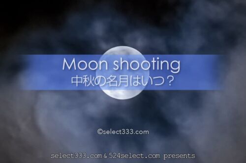 中秋の名月はいつ？中秋の名月は満月と限らない？仲秋との違いは？十五夜の月見と撮影！