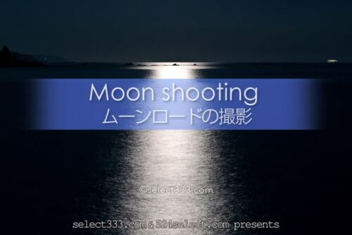 ムーンロードの撮影！海で見える月の道撮影方法！月が作る光の道！月の道はいつ見える