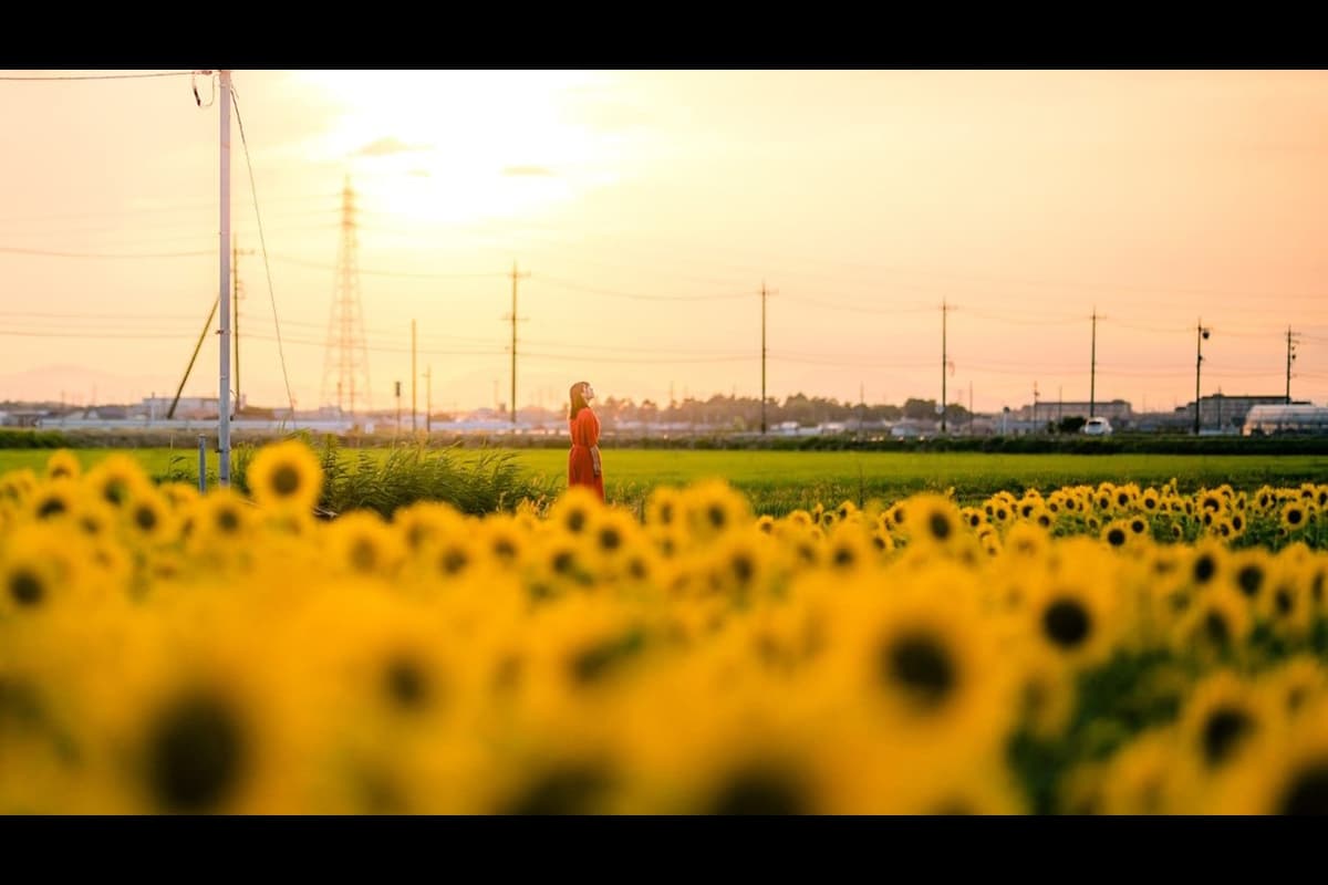 Adobe 2022年「夏の思い出」Instagramフォトコンテストを開催!過去作品も可