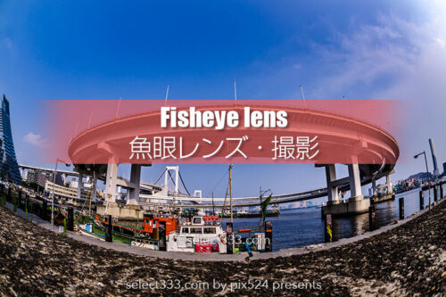 魚眼レンズで撮影しよう！フィッシュアイの広い構図で撮る風景！都庁や天の川魚眼の景色
