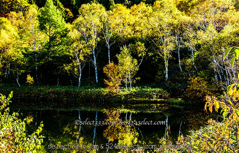 志賀高原エリア秋の水辺散策を！志賀高原の紅葉が映える池撮影！木戸池・一沼・蓮池エリア