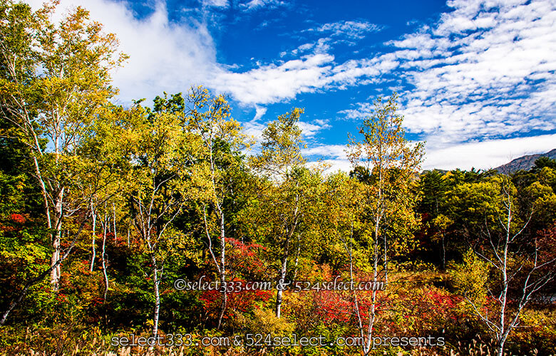 志賀高原エリア秋の水辺散策を！志賀高原の紅葉が映える池撮影！木戸池・一沼・蓮池エリア