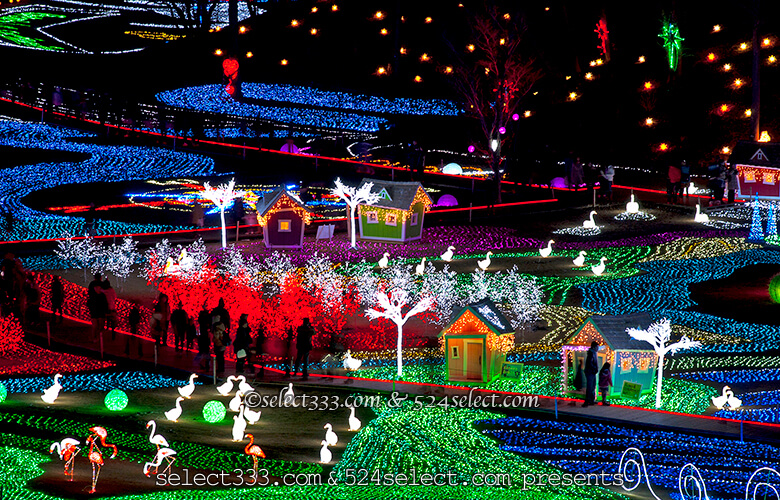 東京ドイツ村のイルミネーションを!関東三大イルミスポット!撮影攻略・混雑回避とアクセス