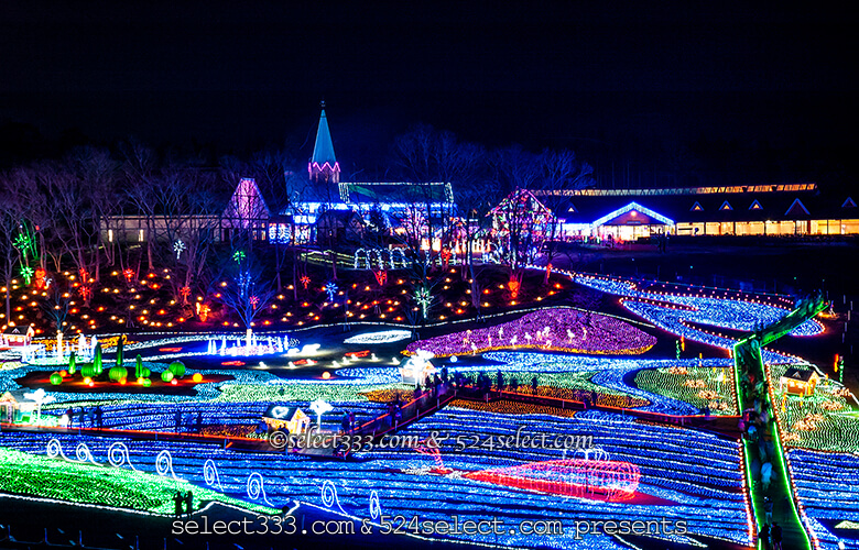 東京ドイツ村のイルミネーションを!関東三大イルミスポット!撮影攻略・混雑回避とアクセス