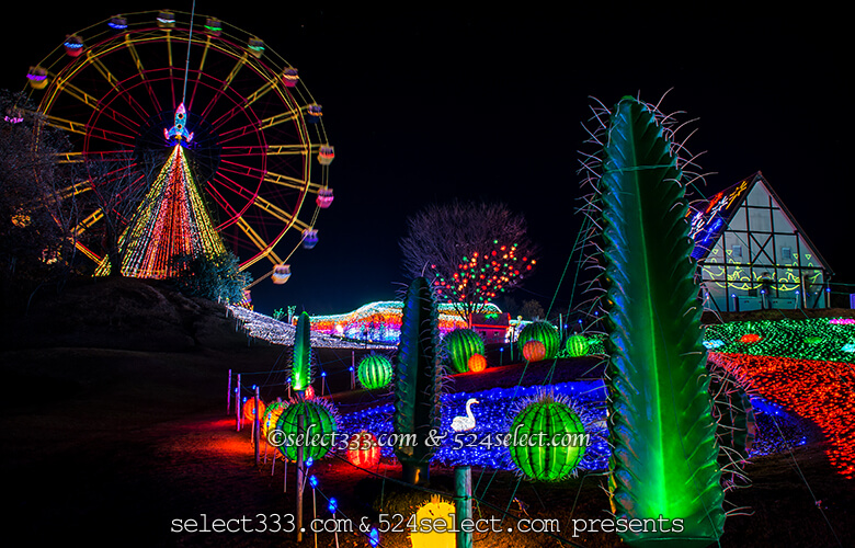 東京ドイツ村のイルミネーションを!関東三大イルミスポット!撮影攻略・混雑回避とアクセス