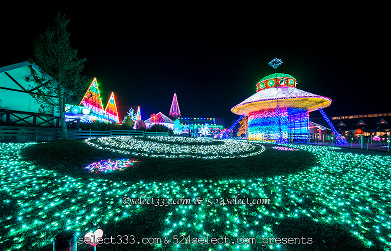 東京ドイツ村のイルミネーションを!関東三大イルミスポット!撮影攻略・混雑回避とアクセス