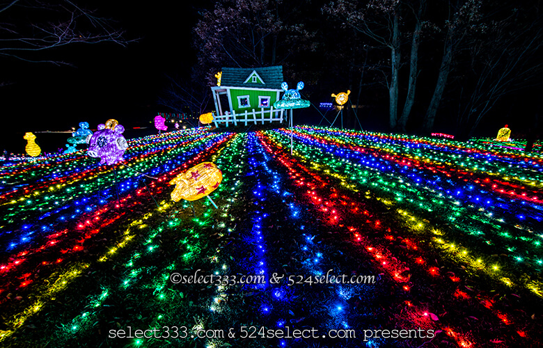 東京ドイツ村のイルミネーションを!関東三大イルミスポット!撮影攻略・混雑回避とアクセス