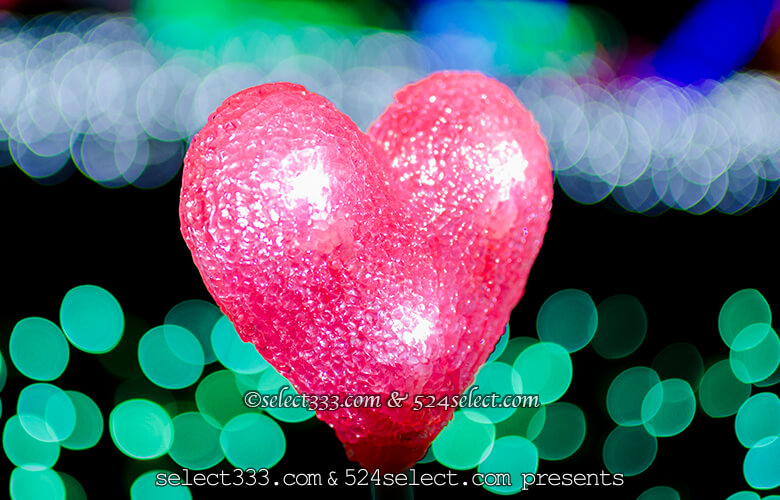 東京ドイツ村のイルミネーションを!関東三大イルミスポット!撮影攻略・混雑回避とアクセス