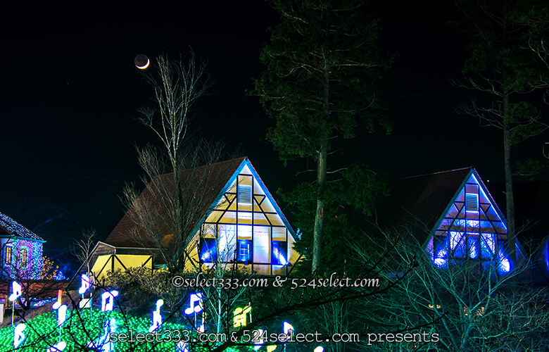 東京ドイツ村のイルミネーションを!関東三大イルミスポット!撮影攻略・混雑回避とアクセス