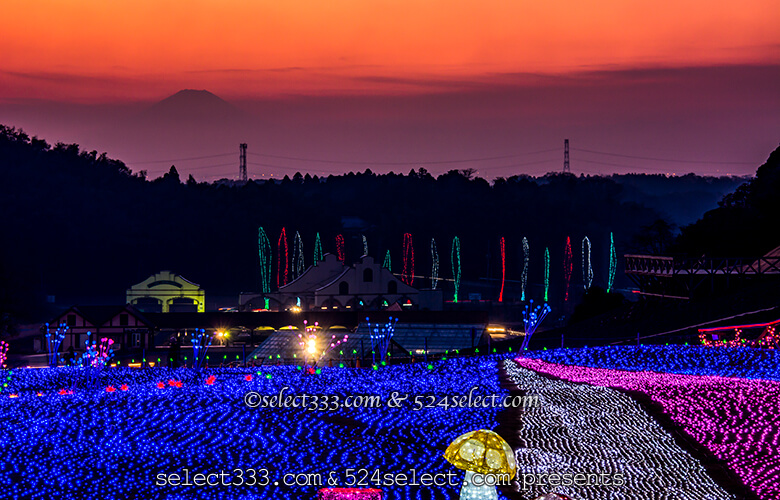 東京ドイツ村のイルミネーションを!関東三大イルミスポット!撮影攻略・混雑回避とアクセス