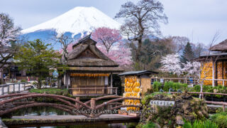山梨県の桜撮影地!富士山と桜撮影スポットと富士五湖桜巡り!富士山と桜のスポット周遊