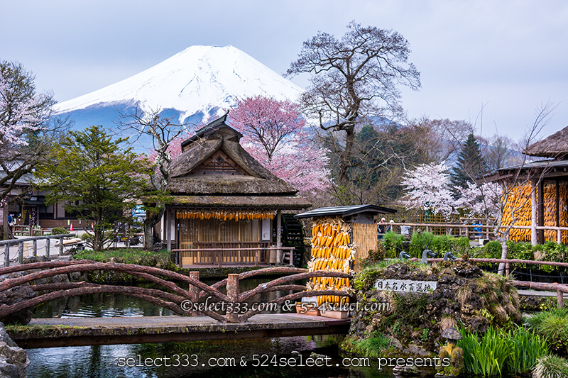山梨県の桜撮影地!富士山と桜撮影スポットと富士五湖桜巡り!富士山と桜のスポット周遊