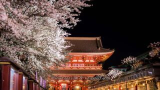 夜桜を浅草寺で撮ろう！夜の浅草寺撮影は桜の満開見頃がお勧め！都内のお手軽夜桜撮影地