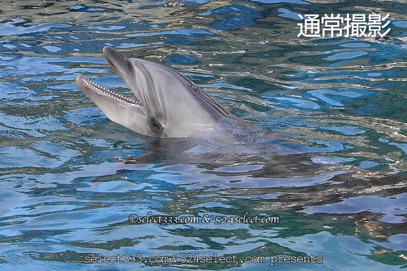 海の写真を補正して綺麗に見せよう!海岸風景のデジタル現像!波や海の風景補正方法 海の写真を補正して綺麗に見せよう!海岸風景のデジタル現像!波や海の風景補正方法