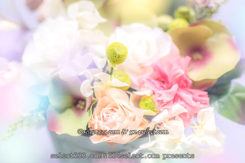 フィルターを自作してボカシ撮影を！ポートレートや花の撮影！インスタ映えするボケ撮影！