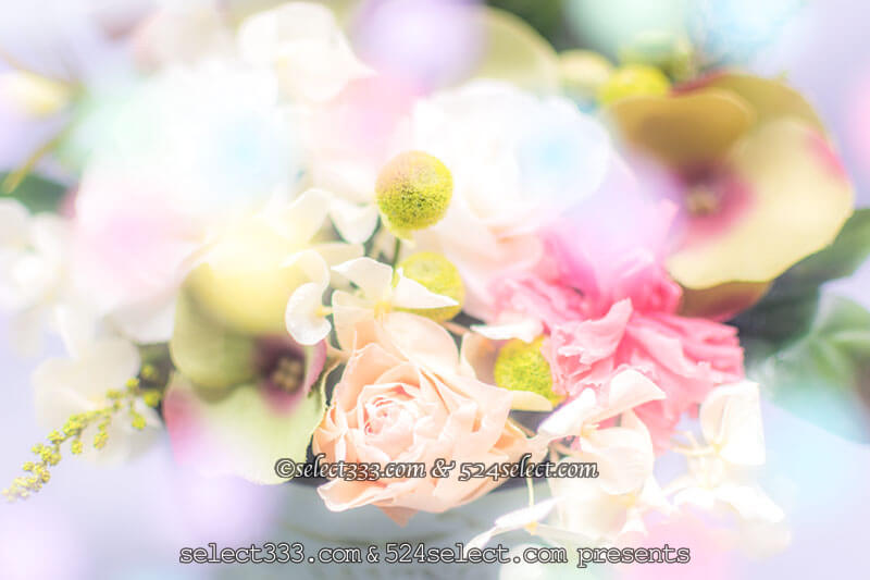 フィルターを自作してボカシ撮影を！ポートレートや花の撮影！インスタ映えするボケ撮影！