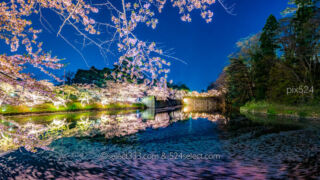 流れる桜の花びら撮影!桜の撮影テクニック川面の桜撮影方法!シャッタースピードを調節!