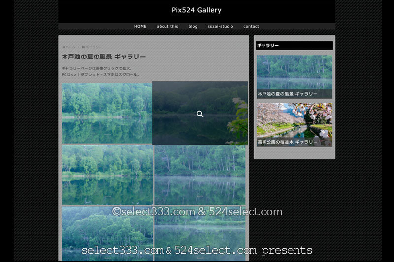 【Pix524 gallery】ギャラリーサイト開設！