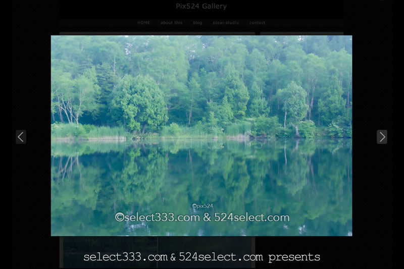 【Pix524 gallery】ギャラリーサイト開設！