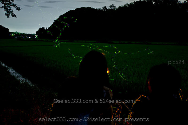 長時間露光で撮るホタルの撮影方法 蛍が飛ぶ様子を撮影しよう