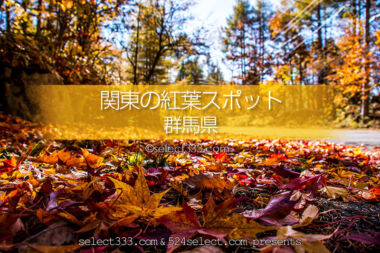 群馬県の紅葉スポット・紅葉撮影地！秋のドライブと紅葉狩り！見頃をチェック！