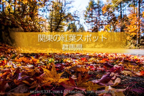 群馬県の紅葉スポット・紅葉撮影地！秋のドライブと紅葉狩り！見頃をチェック！