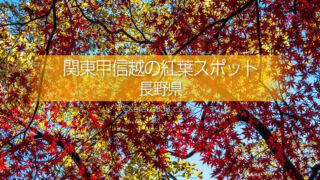 長野県の紅葉スポット・紅葉撮影地！紅葉狩り観光とドライブ！長野県の秋の旅行先