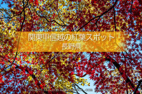 長野県の紅葉スポット・紅葉撮影地！紅葉狩り観光とドライブ！長野県の秋の旅行先
