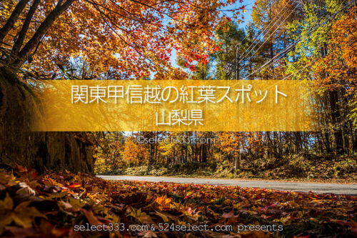 山梨県の紅葉スポット・紅葉撮影地！秋のドライブと紅葉狩り観光！山梨県紅葉の見頃