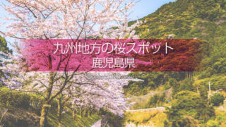 鹿児島県の桜の撮影スポットは？鹿児島の桜の名所を旅しよう！桜を楽しむ鹿児島県の旅行先