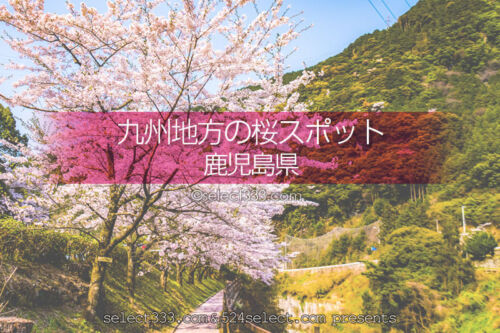 鹿児島県の桜の撮影スポットは？鹿児島の桜の名所を旅しよう！桜を楽しむ鹿児島県の旅行先