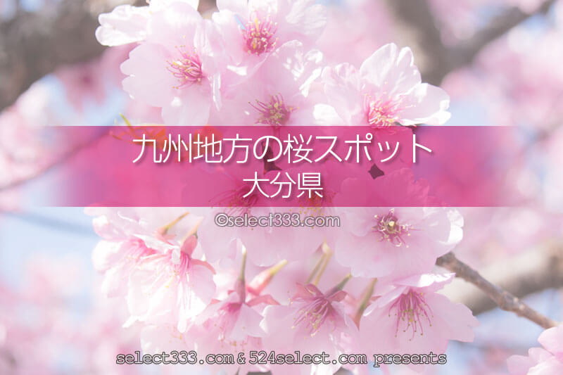 大分県の桜撮影スポットはどこ？大分県の桜の名所に行こう！大分の桜撮影旅行チェック！