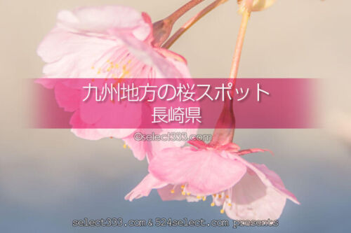 長崎県の桜の名所は？長崎県の桜撮影スポットで満開の桜を！長崎県の桜撮影旅行計画を！