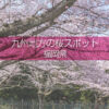福岡県の桜の名所はどこ？福岡県の桜撮影スポットでお花見を！春の福岡旅行で桜の撮影