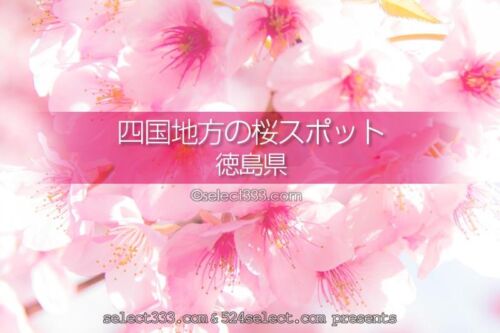 徳島県の桜の撮影スポットはどこ？徳島県の桜の名所を探そう！春の徳島県桜の観光地
