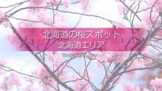北海道の桜の名所は？北海道旅行で桜の撮影スポットを巡ろう！5月に楽しめる北海道の桜