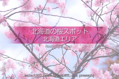 北海道の桜の名所は？北海道旅行で桜の撮影スポットを巡ろう！5月に楽しめる北海道の桜