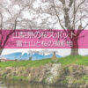 山梨県の桜撮影地！富士山と桜撮影スポットと富士五湖桜巡り！富士山と桜のスポット周