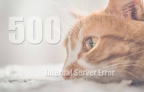 ブログのデータベースを誤って削除…青ざめた瞬間から復旧！やってて良かったＢＵ