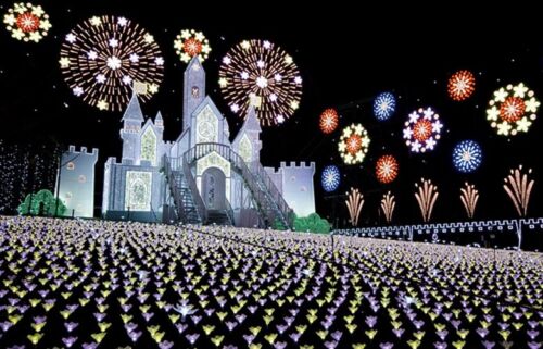 あしかがフラワーパーク光の花の庭は大人のイルミスポット！フラワーファンタジー