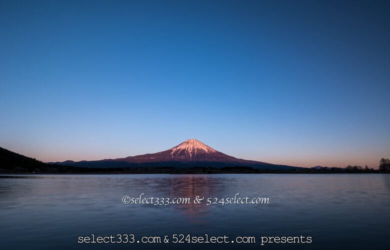 朝焼けの富士山が美しい田貫湖!富士山マニアが集まる撮影地!星空と朝焼けが美しいスポット