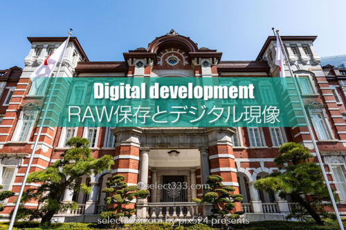 Digital development