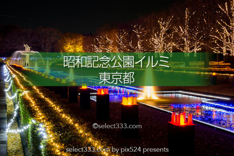 国営昭和記念公園イルミネーション！ファミリー向け東京イルミ！イルミ撮影攻略と混雑