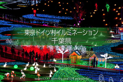 東京ドイツ村のイルミネーションを！関東三大イルミスポット！撮影攻略・混雑回避とアクセス