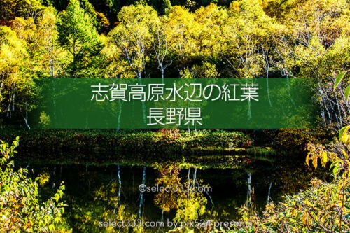 志賀高原エリア秋の水辺散策を！志賀高原の紅葉が映える池撮影！木戸池・一沼・蓮池エリア