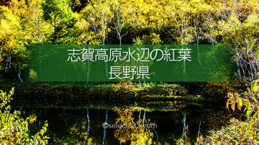 志賀高原エリア秋の水辺散策を！志賀高原の紅葉が映える池撮影！木戸池・一沼・蓮池エリア