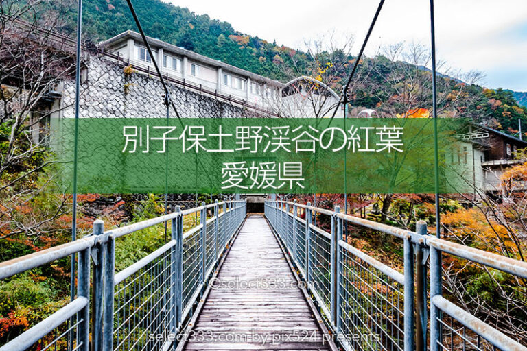別子保土野渓谷紅葉見頃と甌穴群（おうけつぐん）別子道寄り道処！秋の風景と自然の足跡
