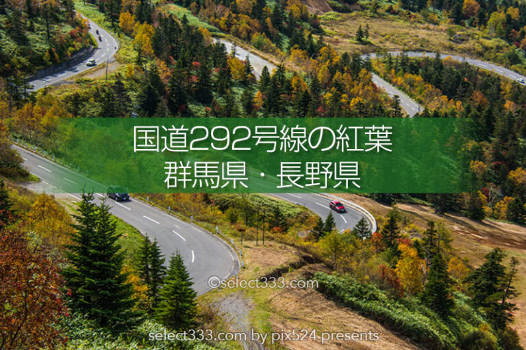 秋に巡る国道292号線の紅葉狩り！志賀高原・渋峠・横手山エリア！秋お勧めのドライブコース